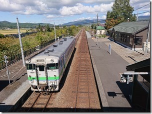 pippu2019 (10)