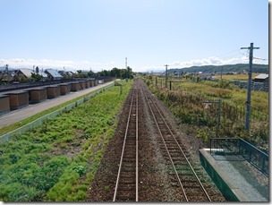 pippu2019 (11)
