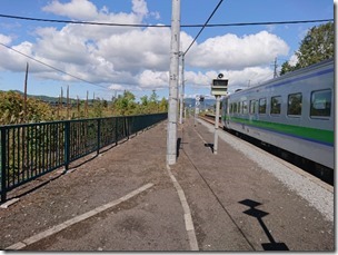 pippu2019 (12)