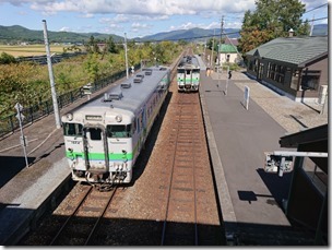 pippu2019 (19)