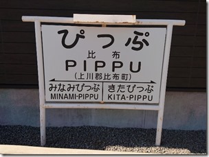 pippu2019 (3)