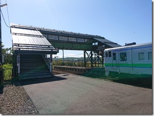 pippu2019 (6)