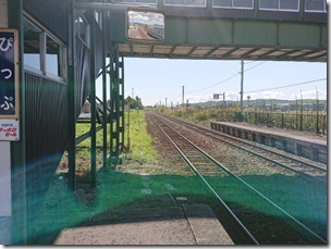 pippu2019 (7)