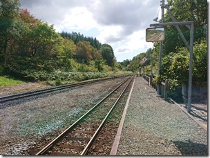 shiokari201806 (6)