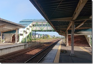 shibetu20230601 (7)
