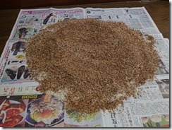 komase20190901 (1)
