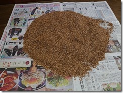 komase20190901 (13)