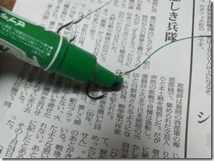 chitoegawa20110828-9