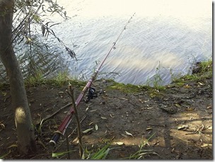 koi20121014-6