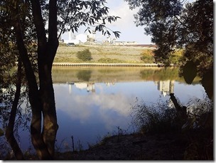 koi20121014