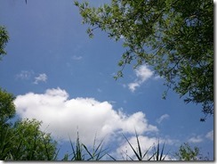夏空20170709_thumb