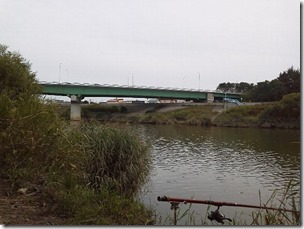 koi20120923-12