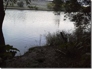 koi20120923-13