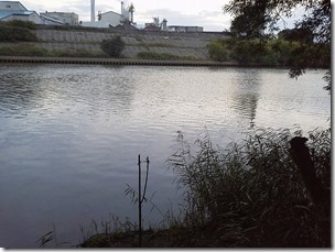 koi20120923-14