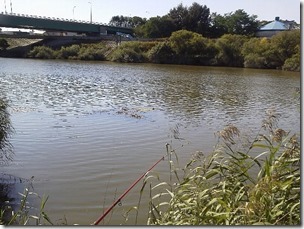 koi20120923-3-2