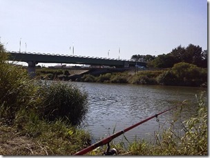 koi20120923