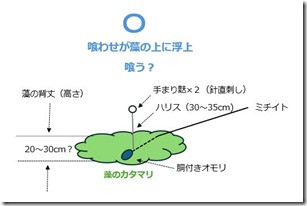 藻場での仕掛けイメージ