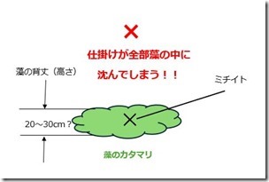 藻場