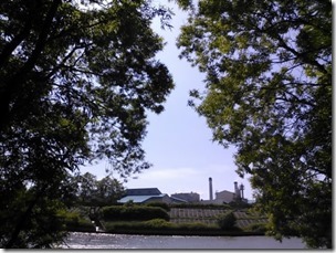 chitosegawa20130630-11