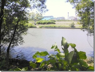 chitosegawa20130630