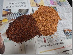 komase2020060503