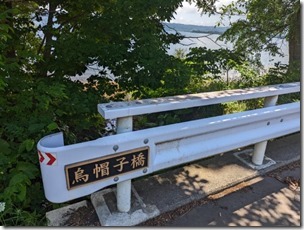 鳥帽子20230723 (1)
