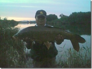 82cm