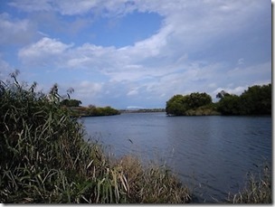 chitosegawa20111016-8