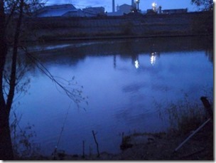 koi20121111-10