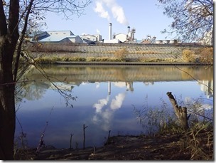 koi20121111-3