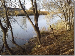 koi20121111-7