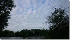 雲に力が無い_秋の気配が漂う20170718