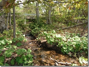 kurokanebashi (3)