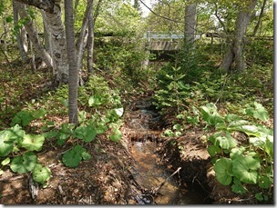 kurokanebashi (5)