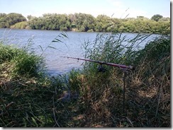 koi20170903-5