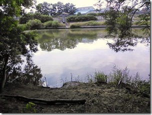 koi20130803