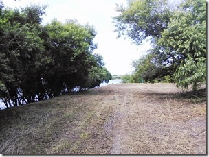 turiba20130803-2