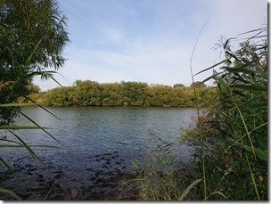 koi2021092614