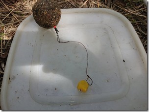 koi2021092626