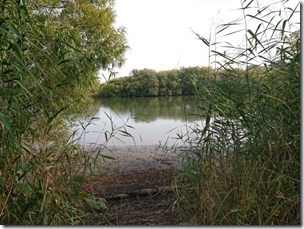 koi2021092631