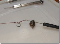 koi2021092633