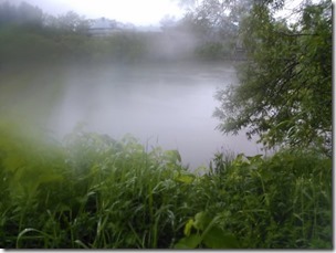 chitosegagwa20130617
