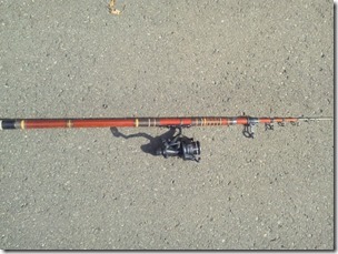 koi20121007-3