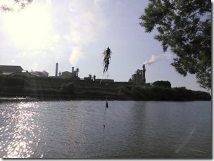 koi20130713-9