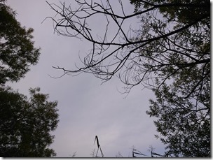 koi2021091901