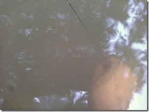 koi20130723-12