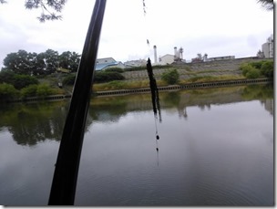 koi20130727-2