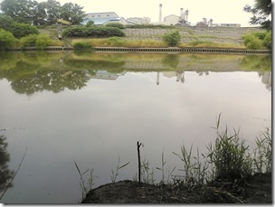 koi20130727