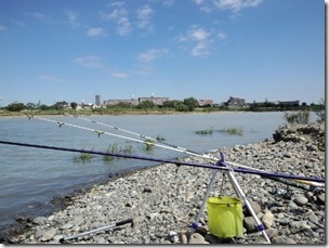 いつもの釣座は沖の草の先