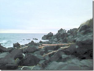 date20111120-2